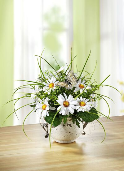 Margeriten-Gesteck im Topf, , large