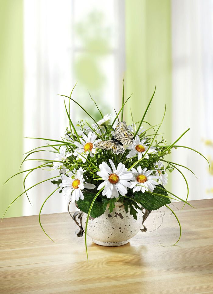 Margeriten-Gesteck im Topf, 