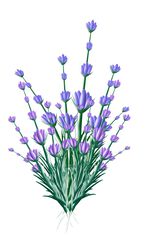 Verbandspflaster HELLBLAU