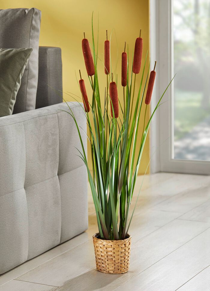 T&auml;uschend echt wirkende Lampenputzer 