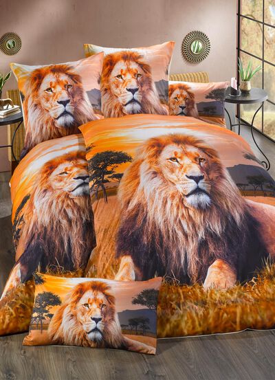 Bettw&auml;sche-Garnitur mit Reissverschluss 