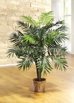 Palme im Topf 