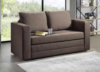 Schlafsofa mit 2 grossen, weichen Rückenkissen 