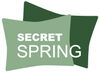 BADERde_DE1Logo_SecretSpring BADERde_DE1Logo_SecretSpring