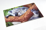 Fussmatte Koala mit rutschhemmender Gummi-R&uuml;ckseite 