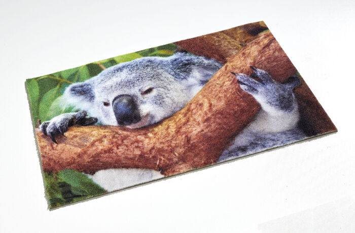 Fussmatte Koala mit rutschhemmender Gummi-R&uuml;ckseite 