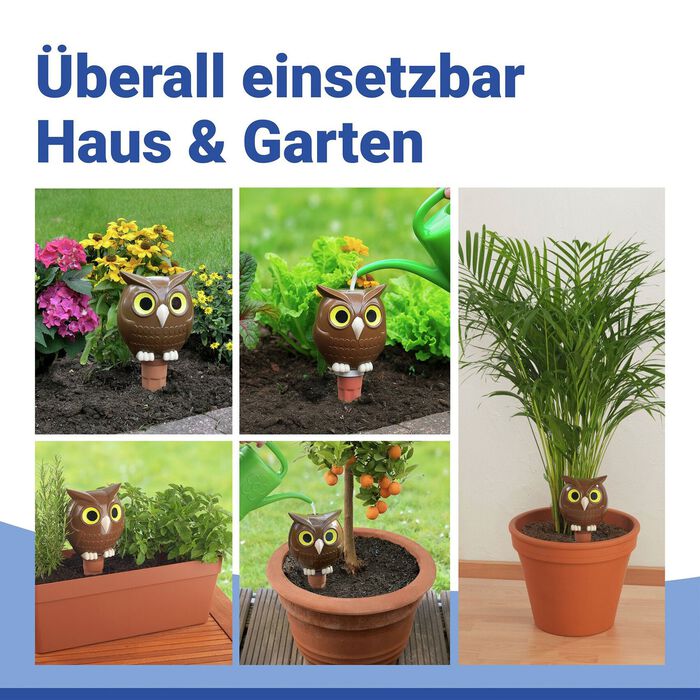 Jumbo-Bew&auml;sserungs-Eule 