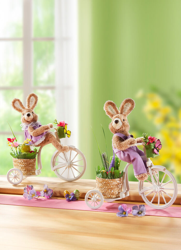 Hase auf Fahrrad, 