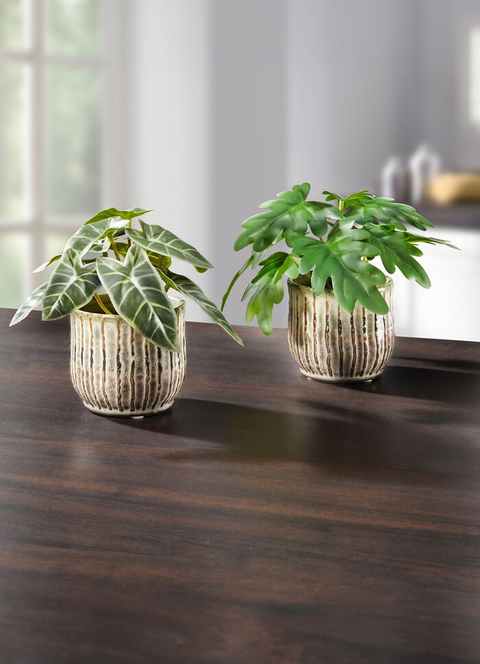 Detailreich gearbeitete Mini-Pflanzen 