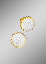 Ohrstecker mit Brillanten 