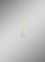 Anh&auml;nger in Bicolor 