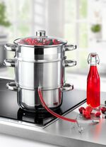 Dampf-Entsafter mit Glasdeckel 