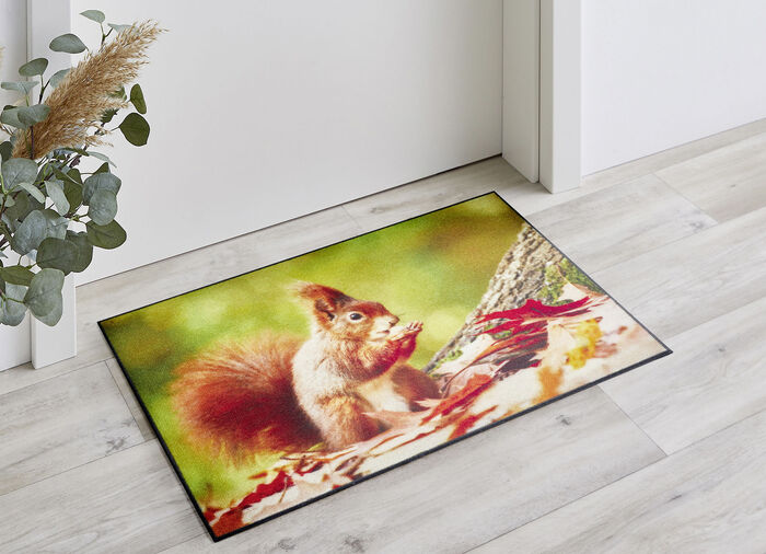 Fussmatte  mit Eichhörnchen-Motiv 