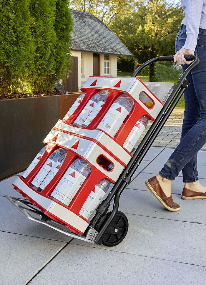 Klappbarer Tritt-Lastentrolley 