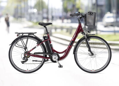 Das perfekte City-E-Bike 