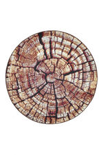 Teppich im naturnahen Baumstamm-Design BRAUN