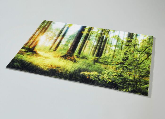 Fussmatte Wald mit rutschhemmender R&uuml;ckseite 