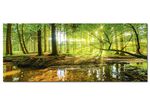 Bild «Wald mit Bach» vom Künstler Günter Albers 