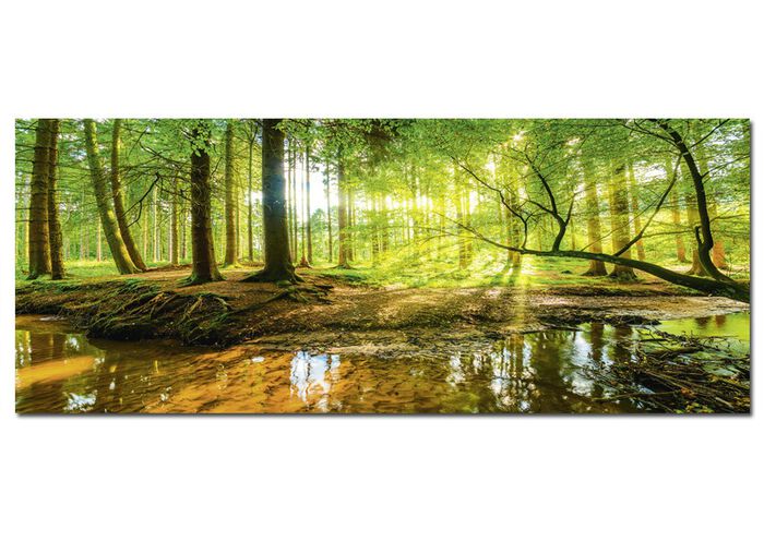 Bild «Wald mit Bach» vom Künstler Günter Albers 