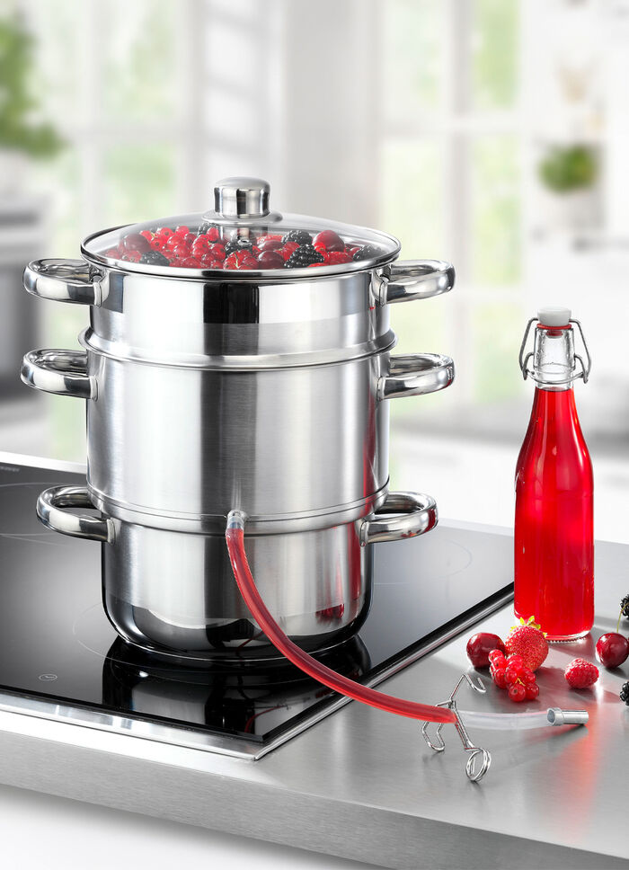 Dampf-Entsafter mit Glasdeckel 