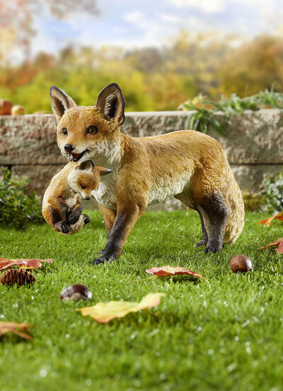 Fuchs mit Jungem 