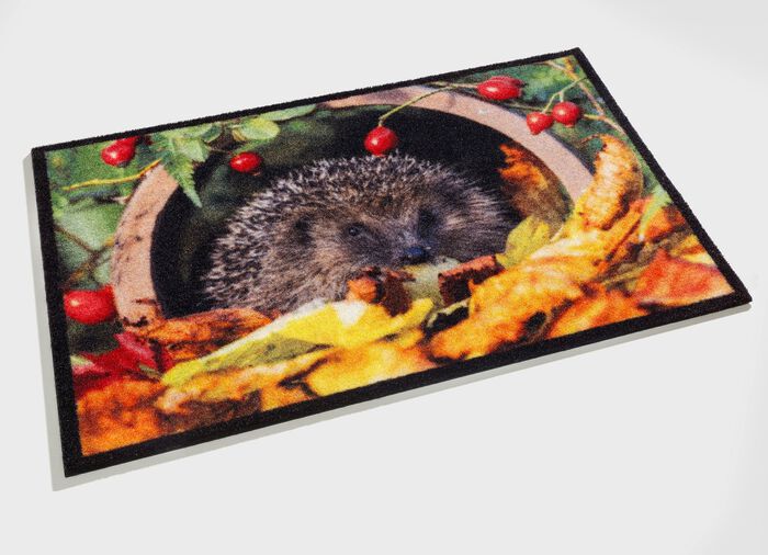 Fussmatte mit Igel-Motiv 
