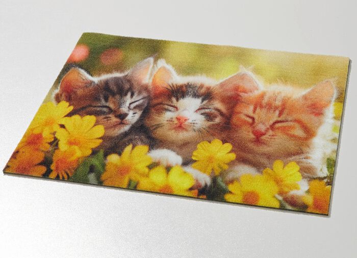 Fussmatte mit rutschhemmender R&uuml;ckseite 