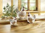 Huhn , 