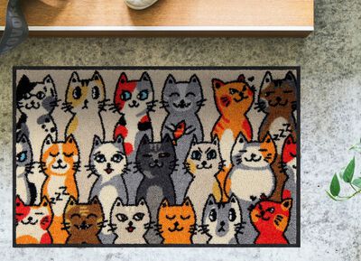 Fussmatte f&uuml;r den Innen- und Aussenbereich 