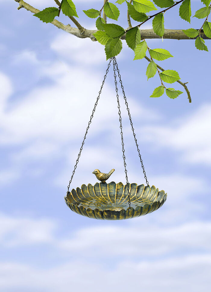 Vogeltränke zum hängen 