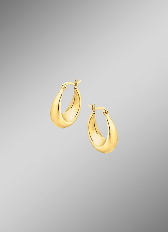 Gl&auml;nzende Creolen in Silber 925/- fein 