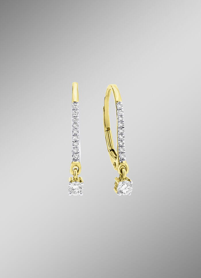 Edle Ohrringe mit 2 Brillanten und 18 Diamanten 