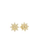 Zauberhafte Ohrstecker 