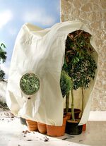 Robuster Pflanzensack mit Sichtfenster BEIGE