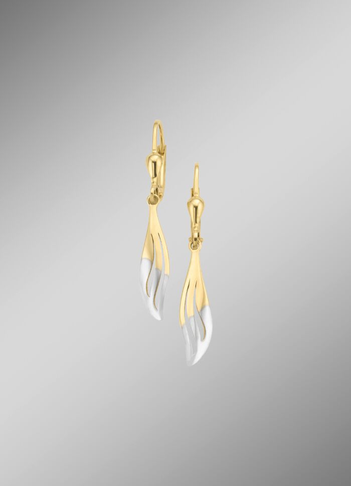 Klassische, gl&auml;nzende Ohrringe in Bicolor 