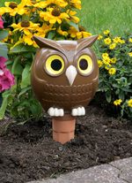 Jumbo-Bew&auml;sserungs-Eule 