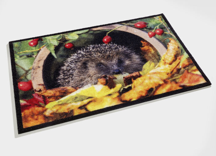 Fussmatte mit Igel-Motiv BUNT