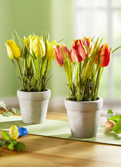 Tulpen im Zementtopf, 2er-Set, , large