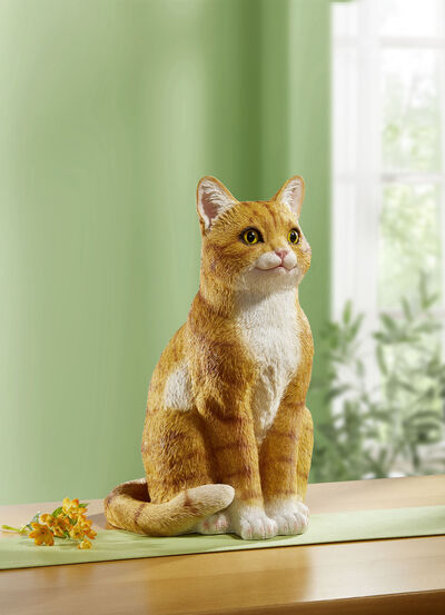 Katze 