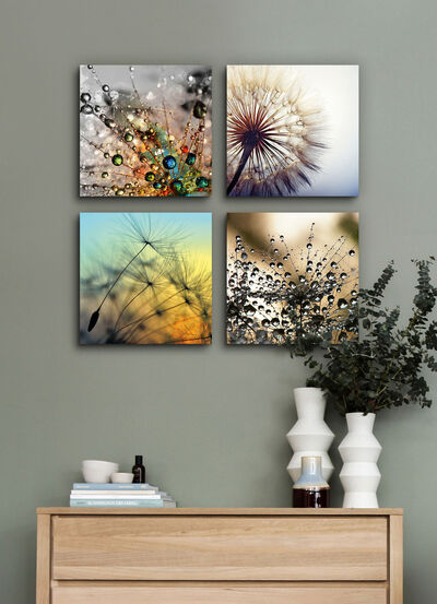 Bilder-Set, 4-teilig, mit Pusteblumen-Motiven - 