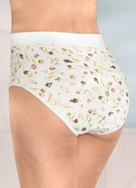 Viererpack Formslips mit verst&auml;rkter Bauchpartie 