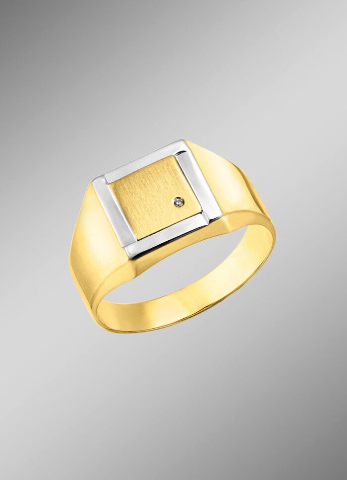 Herrenring in Bicolor-Design 