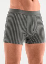 Viererpack Pants mit Softbund 