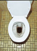 WC-Reinigungs-Tabs 