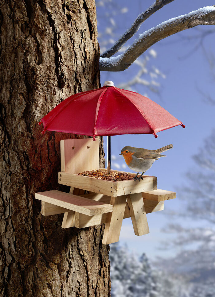 Vogel-Picknick-Bank 
