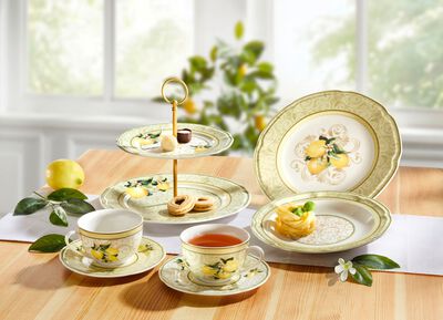 Hochwertige Fine-Bone-China-Porzellan-Serie 