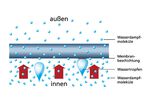Inkontinenz-Slip für Damen und Herren 