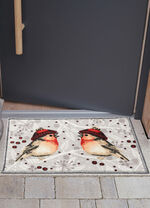 Fussmatte mit rutschhemmender Rückseite BUNT