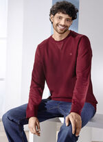 Sweatshirt in 3 Farben, 