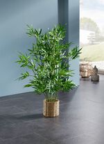 Bambus im  Wasserhyazinthen-Korb 